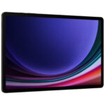 Samsung Galaxy Tab S9 + 5G 12GB/256GB Graphite (SM-X816BZAASEK)