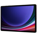 Samsung Galaxy Tab S9 + 5G 12GB/256GB Graphite (SM-X816BZAASEK)