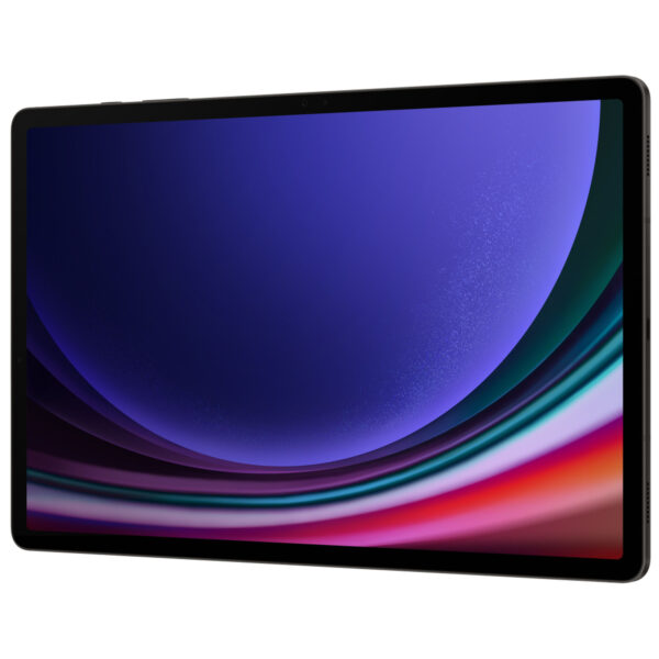 Samsung Galaxy Tab S9 + 5G 12GB/256GB Graphite (SM-X816BZAASEK)